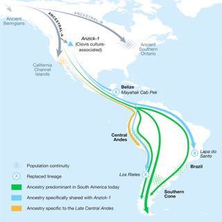 North and South America Migration