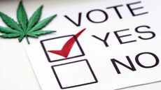 Weed legalization effort on ballot, with yes box checked