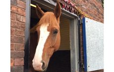 fimber.jpg