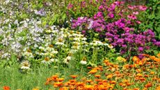 A bright, colourful flower garden with bee balm, coneflower, and orange marigolds