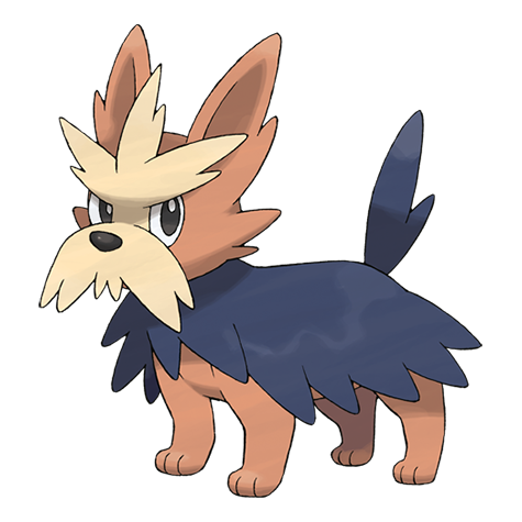 Pokemon 507 Herdier