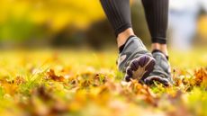 Woman's trainers walking through sunny field with leaves on the ground, representing the idea of walking 30 minutes a day