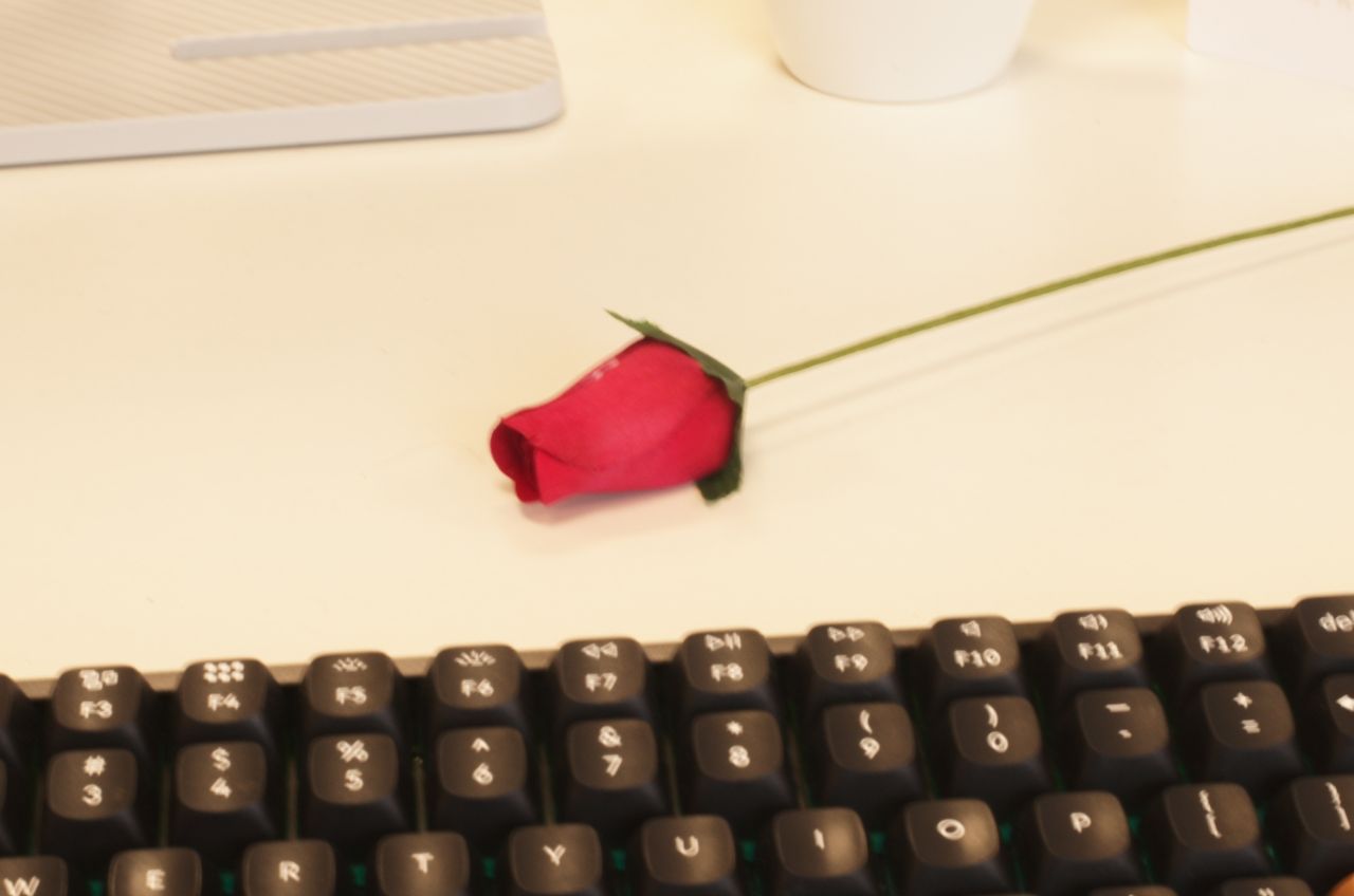 A photo of a fake rose taken on a Leica M11-D rangefinder camera