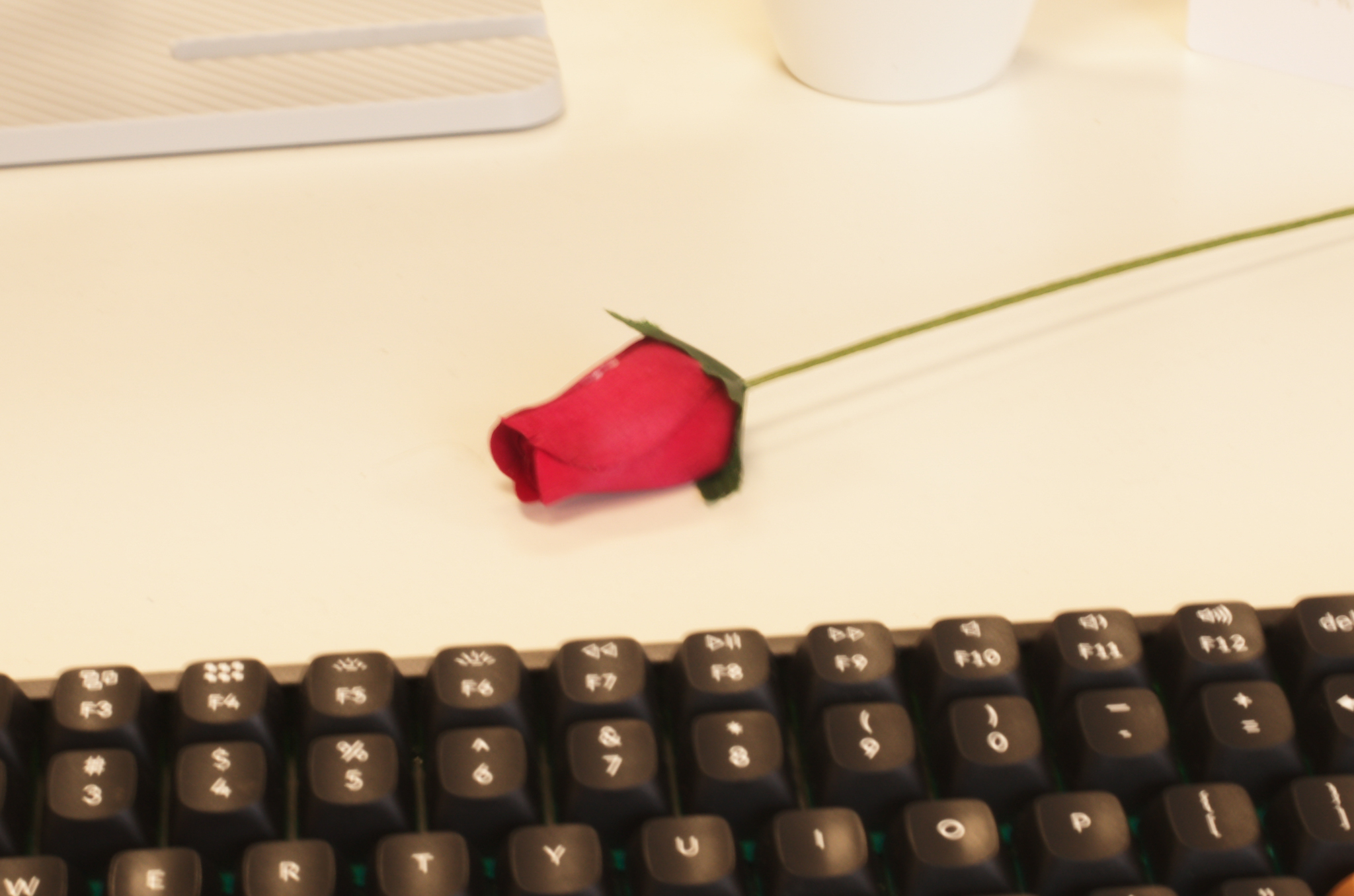 A photo of a fake rose taken on a Leica M11-D rangefinder camera