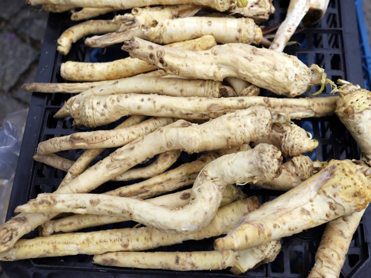 A Pile Of Deformed Parsnips