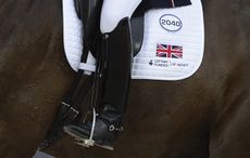 british dressage rules 2019