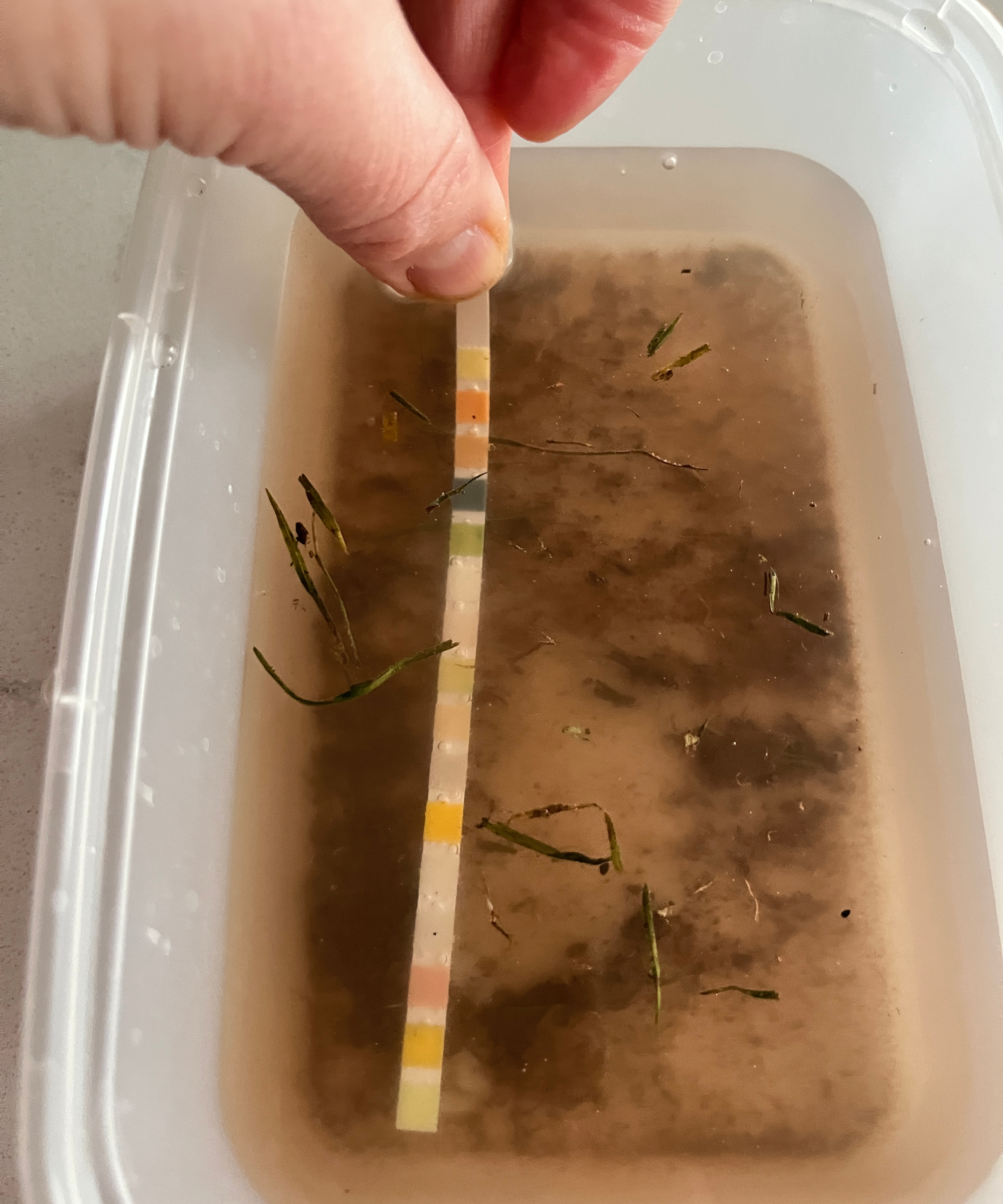 water testing strip being held in tub of dirty water
