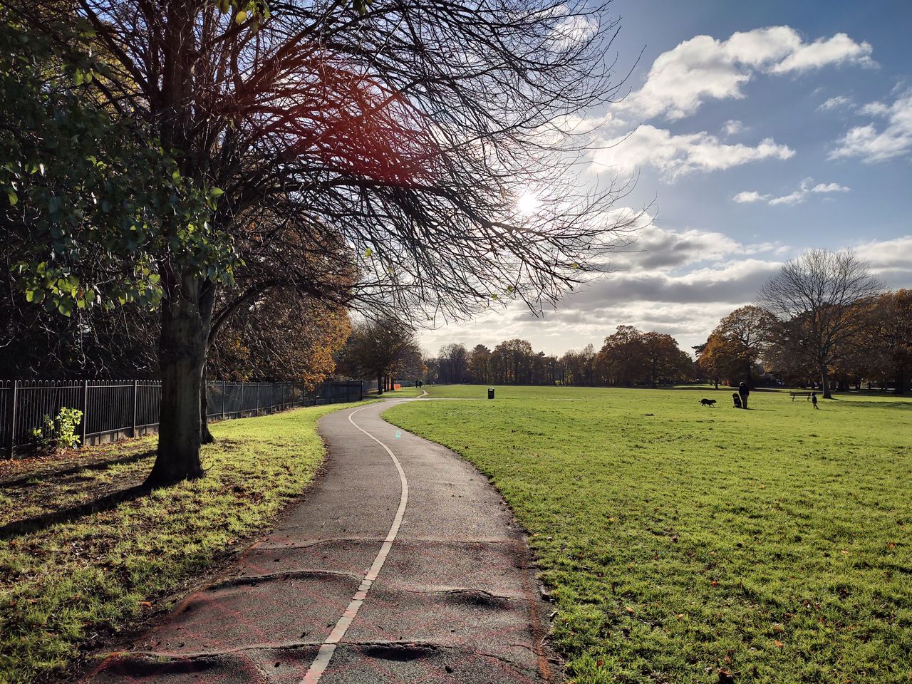 A Motorola Edge 20 camera sample
