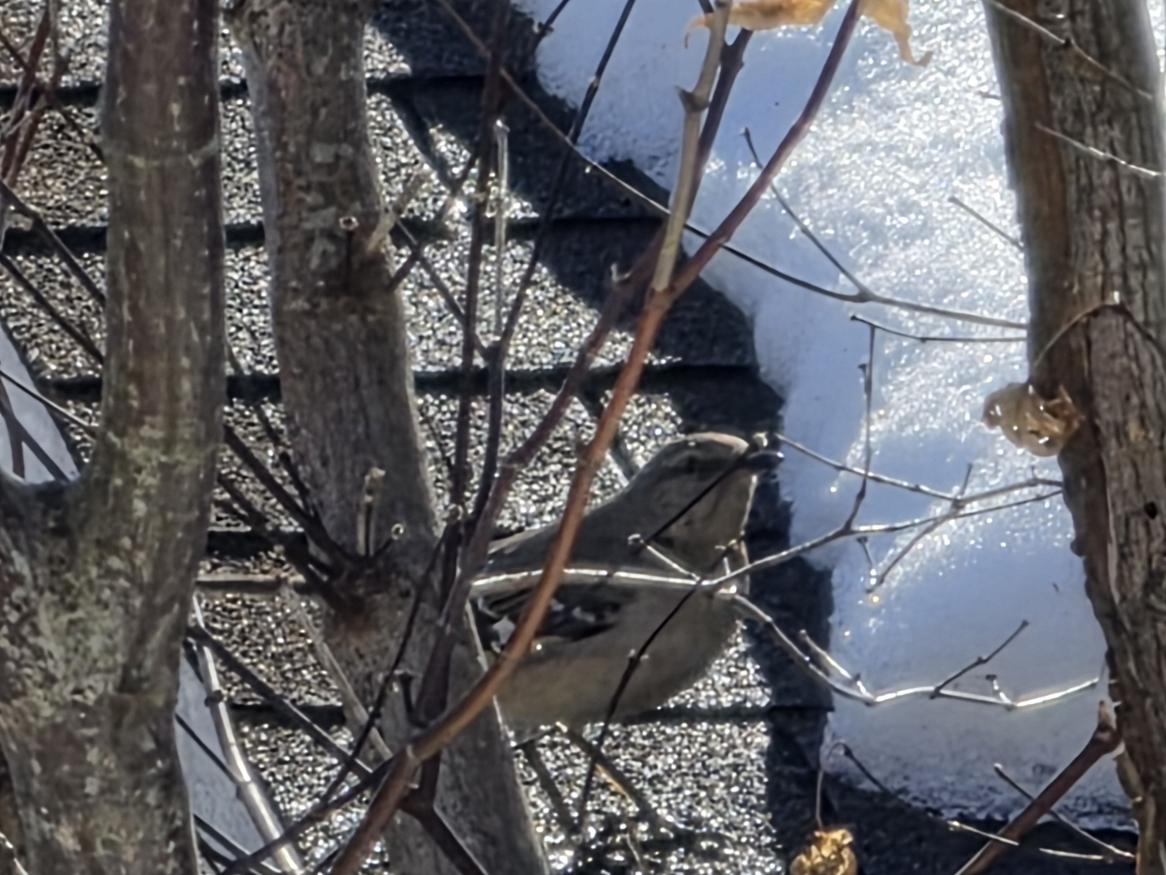 Samsung Galaxy S26 Ultra