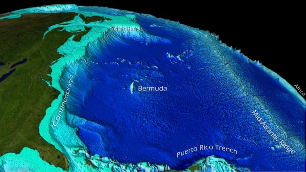 Pacific Ocean  Depth, Temperature, Animals, Location, Map