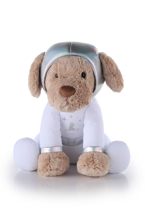 A closeup of Jude, the Inspiration4 astronaut puppy plush used as a zero-g indicator on the mission.