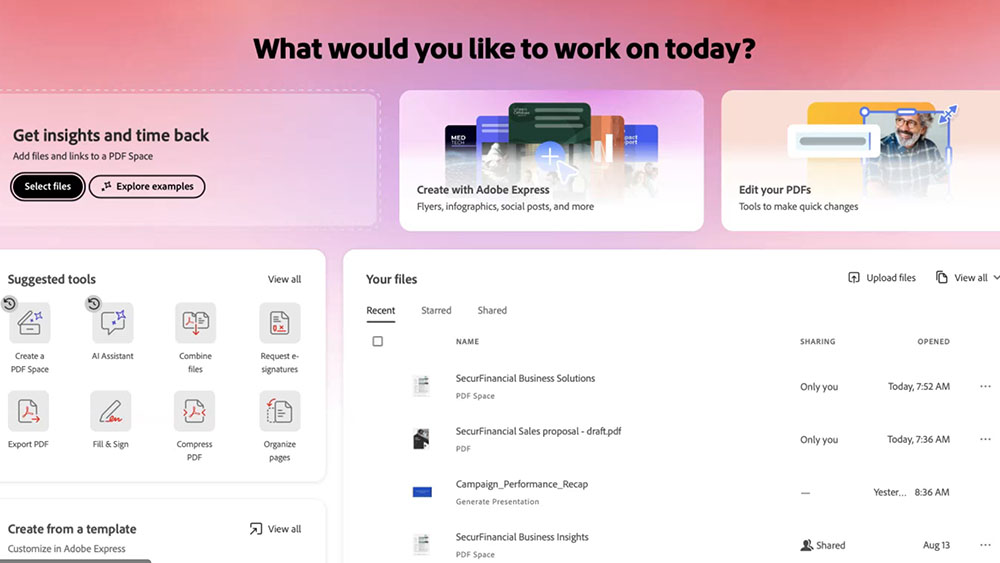 Screenshots from Adobe Acrobat Studio
