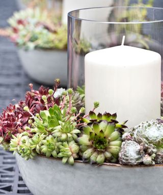 large candle in lantern glass with succulents