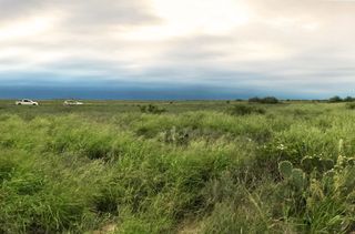 A green pasture with a cloudy sky overhead