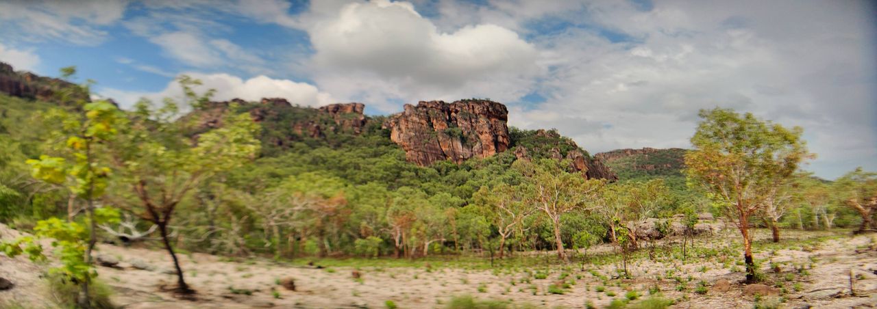A photo taken on the Realme 13 Pro Plus alongside an Andoer 1.55x anamorphic lens.