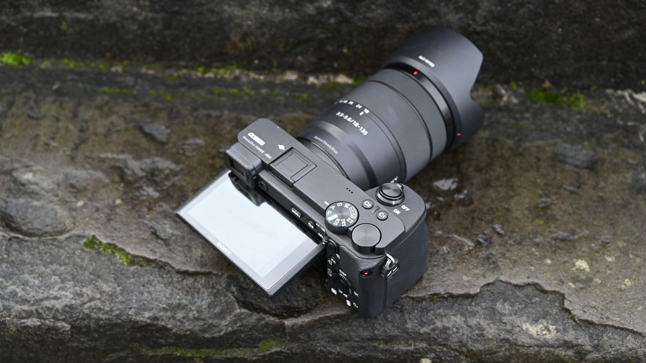 Sony A6600