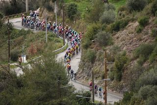 The pack of riders cycles during the 7th stage of the Paris-Nice cycling race, 109,3 km between Nice and Auron, on March 15, 2025. (Photo by Anne-Christine POUJOULAT / AFP)