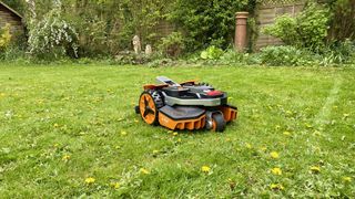 Worx Landroid Vision on lawn
