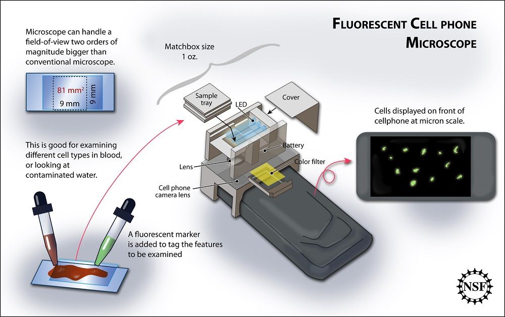 This scientific illustration depicts the cell phone microscope technology being developed by UCLA electrical engineer Aydogan Ozcan and his colleagues.