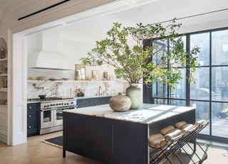 large kitchen island with olive tree in a vase as the centerpiece
