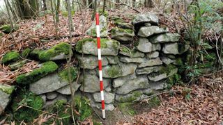 A photo of a mossy stone wall in the woods.