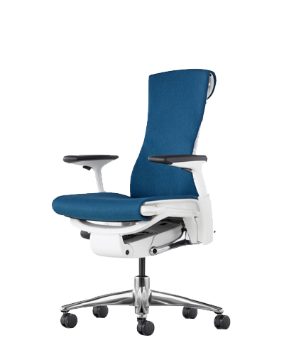The blue model of the Embody chair. 