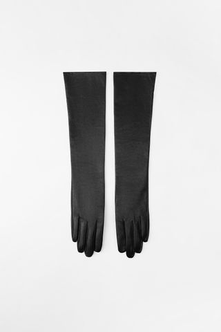 Long Leather Gloves