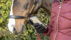 A close-up of a rider holding a horse and checking social media on a phone