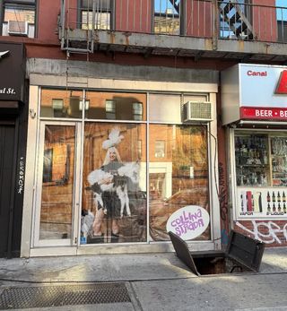 Collina Strada New York Store photographed from the street