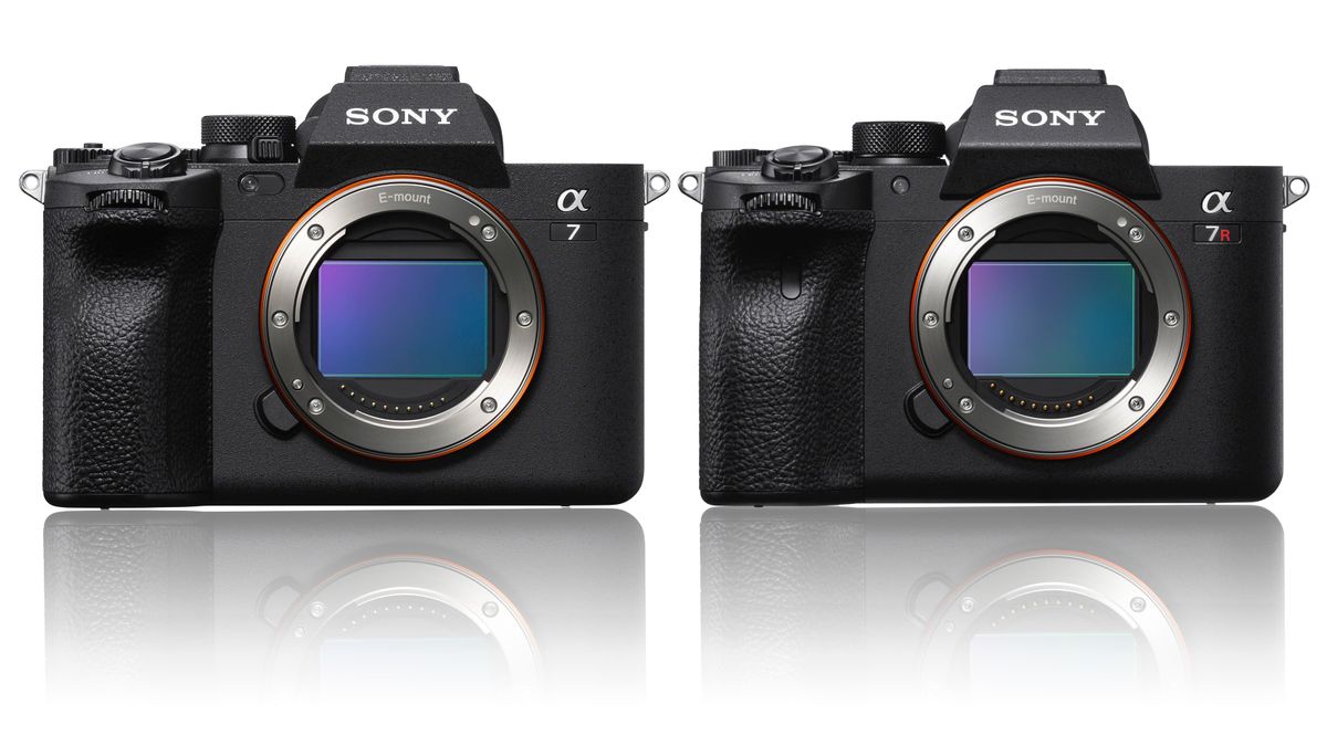 Sony A7 IV vs A7R IV