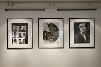 Three portrait black rimmed frames hanging against a white wall in an exhibition. Left frame features 6 images of black men with different hair cuts. Middle frame features the image of a shell. Right frame features the image of a caucasian women in black with her eyes closed