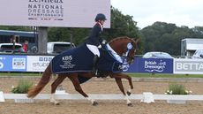 National Dressage Championships young horse four-year-old