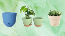 Three self-watering planters in various colors with different plants on a marble green background