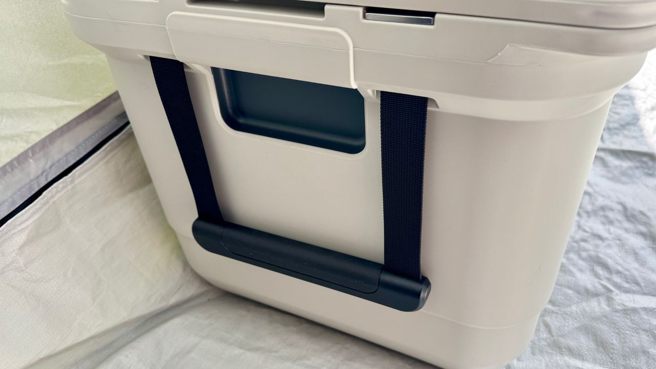 Coleman Pro 45QT handles