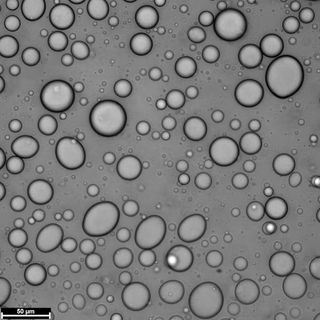 A microscope image showing droplets that resemble oil suspended in water