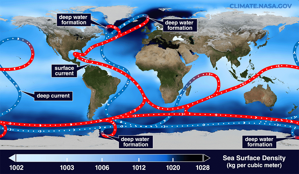 Animation showing surface and bottom currents across the world's oceans.
