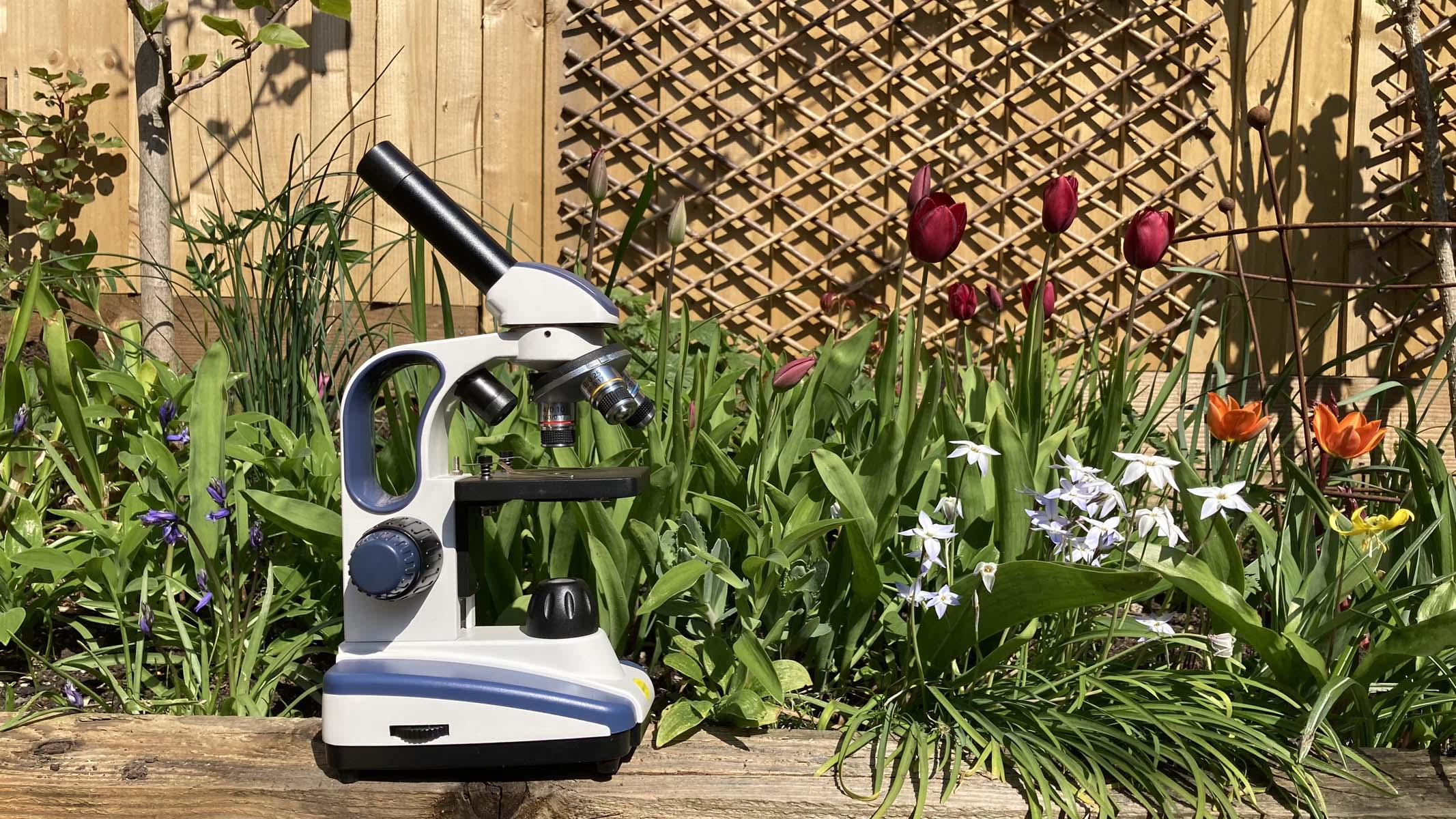 microscope in a garden.