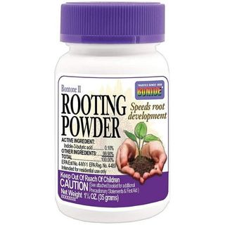 Bontone Rooting Powder
