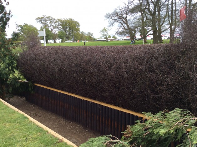 29 side view xc