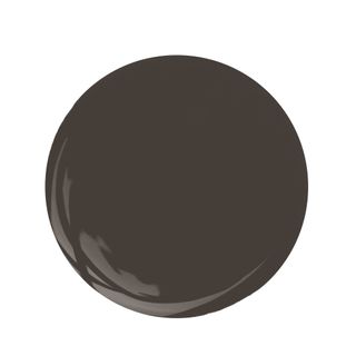 dark brown-black paint swatch