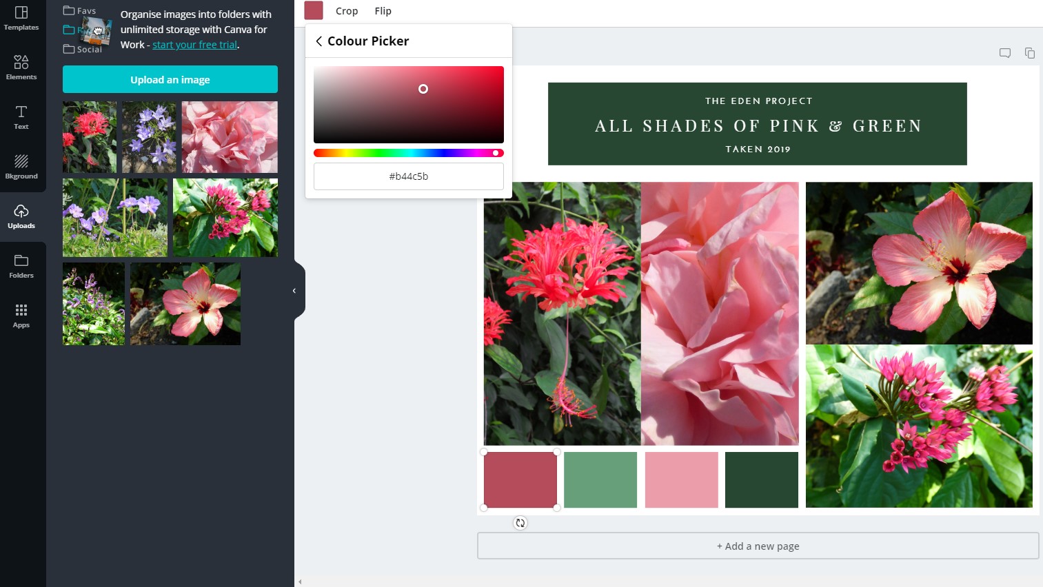 Editing colors and design in Canva