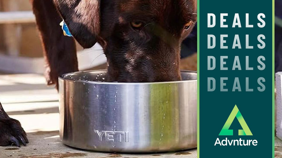 You wouldn't go camping without your favorite Yeti cup and your dog shouldn't have to either – save 30% on this premium dog bowl for Black Friday