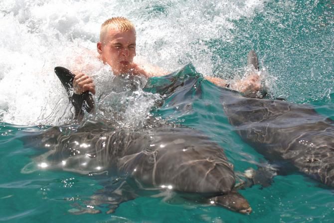 Robert Gesink holds onto his dolphins