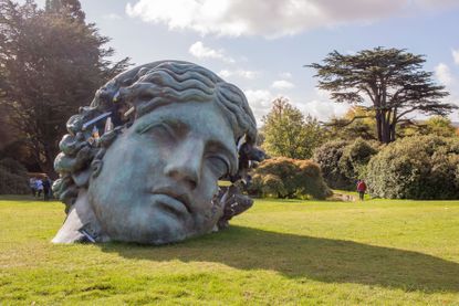 sculpture of woman's head lying in field by Daniel Arsham