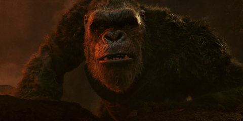 Godzilla Vs. Kong Superfans Are Pulling Their Own Justice League With ...