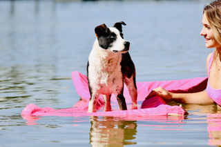 A black and white dog stands on top of a pink Lazy Dog Lounger on a river