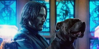 John Wick and his dog