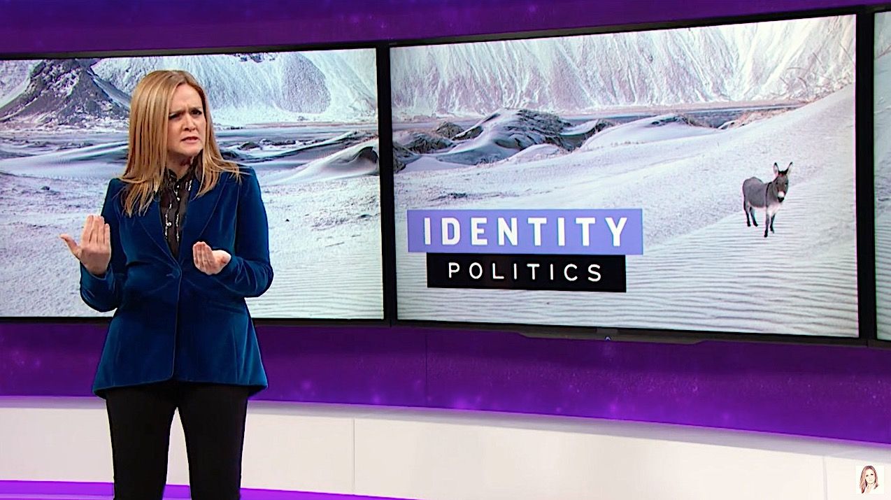 Samantha Bee wades into the Democrats&amp;#039; post-loss civil war