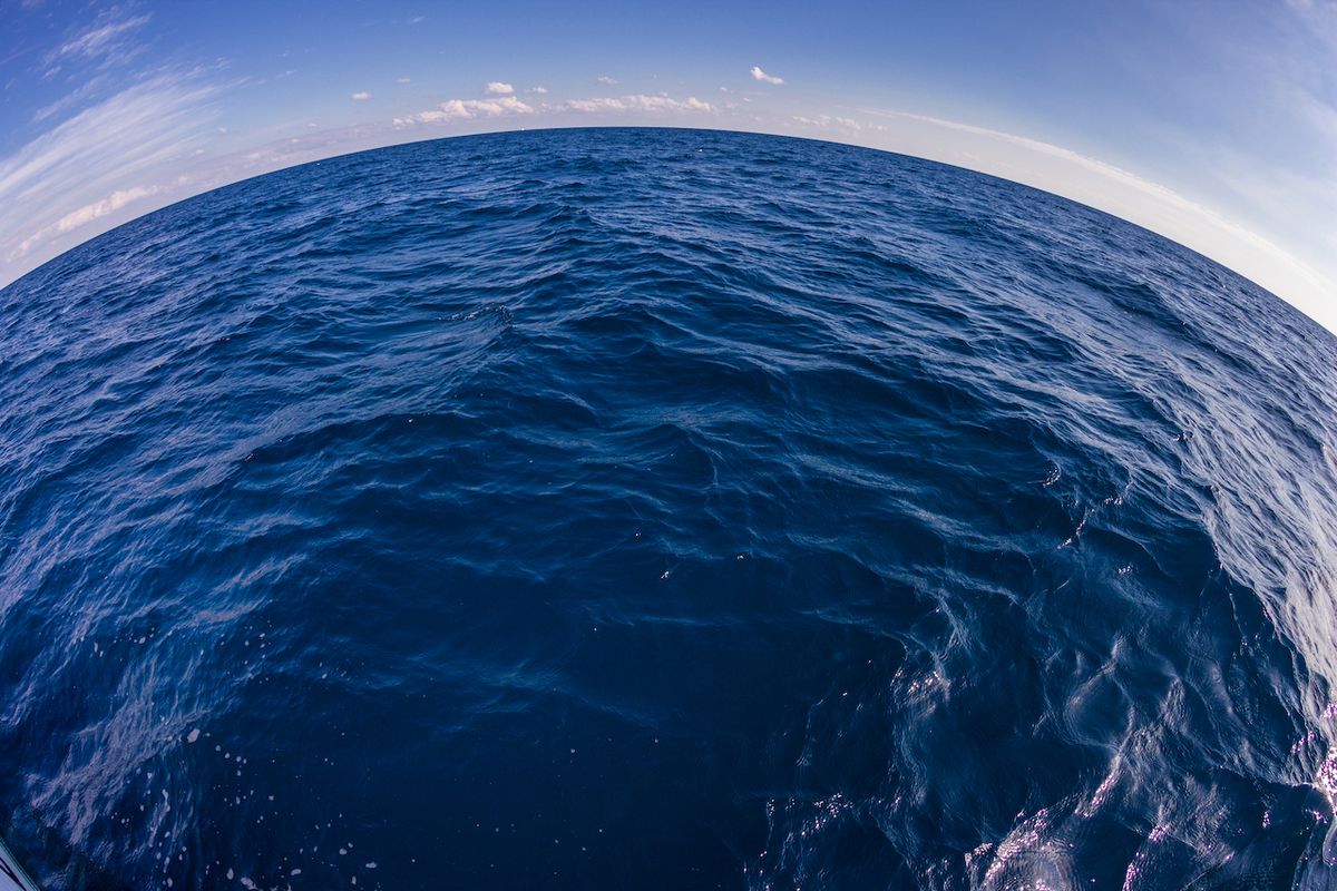 The ocean from a fisheye point of view.