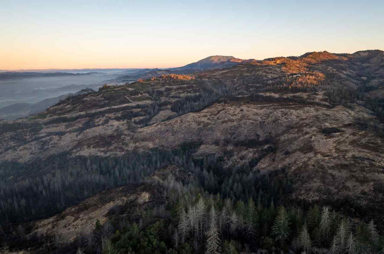 2021 Howell and Diamond Mountain